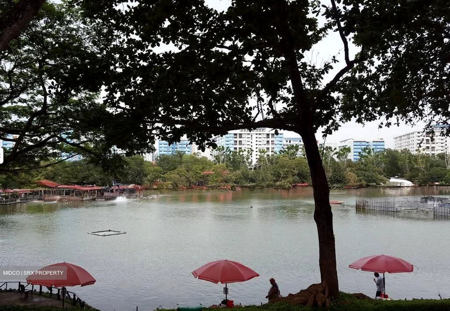 Blk 407 Pasir Ris Drive 6 (Pasir Ris), HDB 4 Rooms #632507991